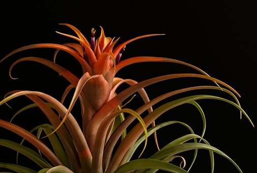 高唐新加坡公司招聘固定线路司机